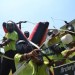 lads playing archery