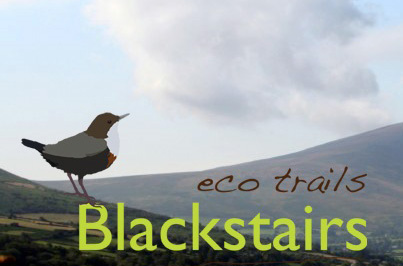 Conquer the Blackstairs Eco Trails