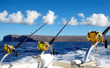 Reef Fishing – Algarve