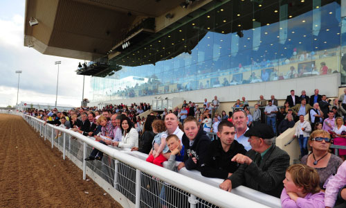 dundalk dog racing