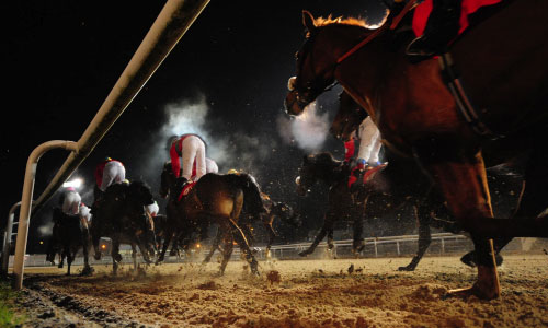 dundalk dog racing