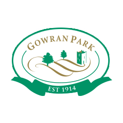 HOW TO HAVE A STAG PARTY IN GOWRAN PARK RACING